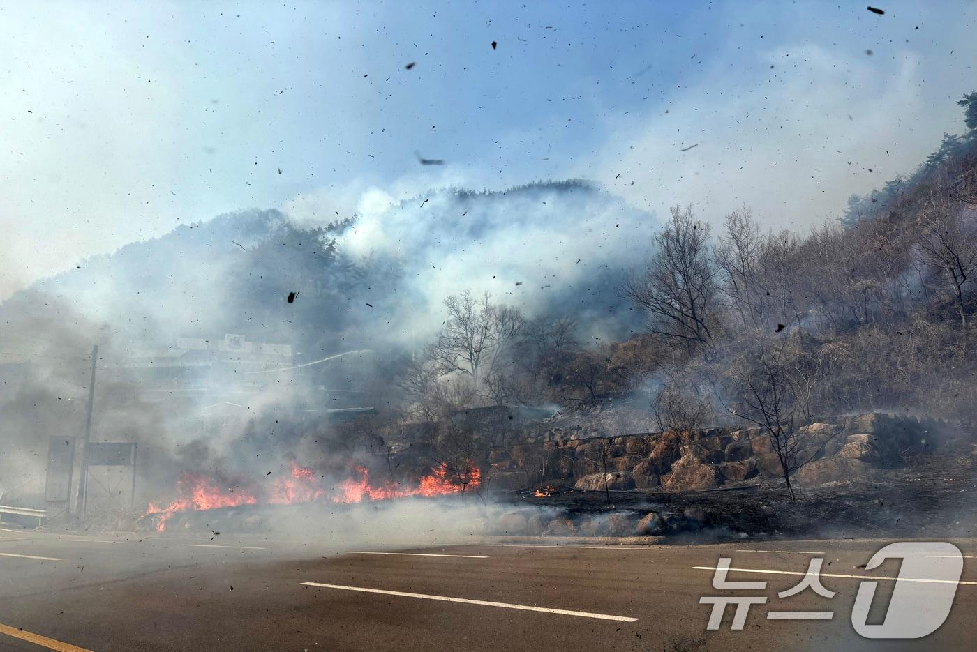 22일 경남 산청 시천면에서 산불이 발생해 도로까지 확산되고 있다. 2025.3.22/뉴스1 ⓒ News1 강미영 기자