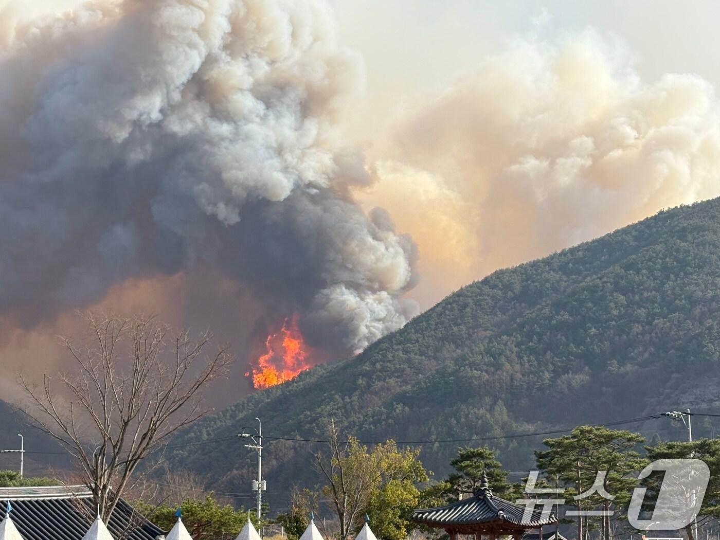 본문 이미지 - 22일 경남 산청 시천면에서 산불이 발생해 이틀째 이어지고 있다. 2025.3.22/뉴스1 ⓒ News1 강미영 기자