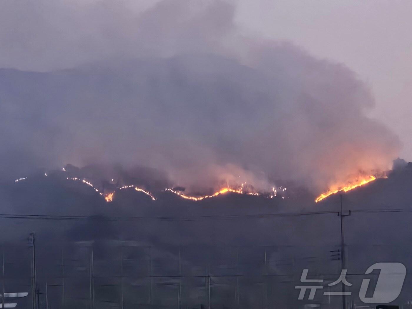 본문 이미지 - 21일 발생한 경남 산청군 시천면 산불이 이틀째 이어지고 있다. 2025.3.22/뉴스1 한송학 기자