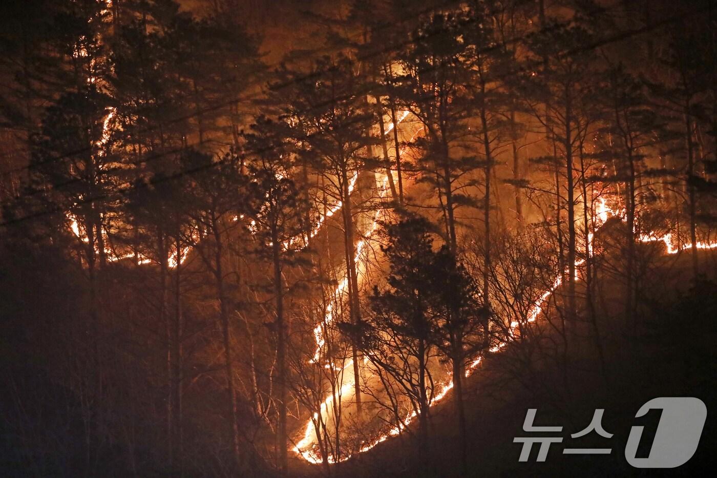 경남 산청 대형 산불이 사흘째로 접어든 23일 오전 산청군 시천면 일대에서 산불이 번지고 있다. 2025.3.23/뉴스1 ⓒ News1 윤일지 기자