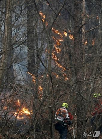 본문 이미지 - 경남 산청 대형 산불이 사흘째로 접어든 23일 오전 산청군 시천면 일대에서 산림청 항공본부 공중진화대원들이 산불 진화작업을 벌이고 있다. 2025.3.23/뉴스1 ⓒ News1 윤일지 기자