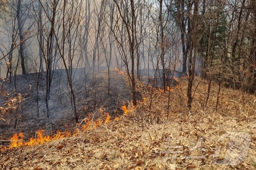 본문 이미지 -  23일 오전 충북 옥천군에서 연이어 산불이 발생했다. 사진은 동이면 남곡리 산불 모습.(옥천소방서 제공. 재판매 및 DB금지)/뉴스1