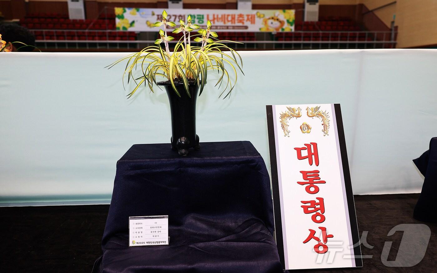 본문 이미지 - 함평군 2025 대한민국 난 명품 대제전에서 대통령상을 받은 박현기 씨 작품 ‘중투화 웅비’.(함평군 제공.재배포 및 DB 금지)