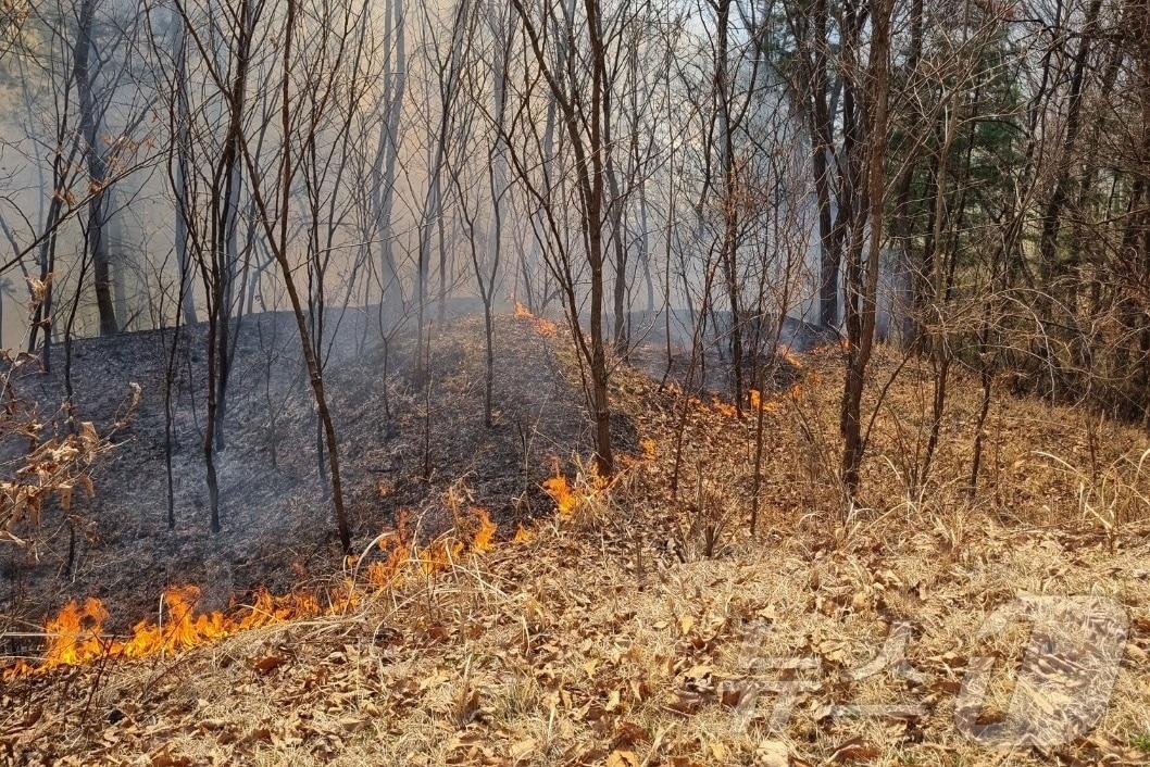 본문 이미지 -  충북에서도 산불이 확산하고 있다. 사진은 옥천군 산불.(옥천소방서 제공. 재판매 및 DB금지)/뉴스1