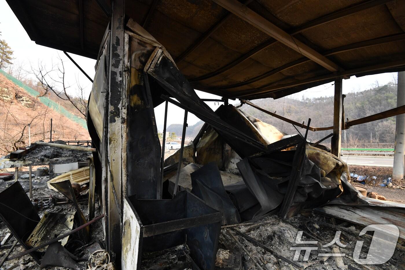 본문 이미지 - 경북 의성군 산불 이틀째인 23일 오후 단촌면 국도변에 곳곳에는 산불이 지난 간 흔적들이 남아 있다. 2025.3.23/뉴스1 ⓒ News1 최창호 기자