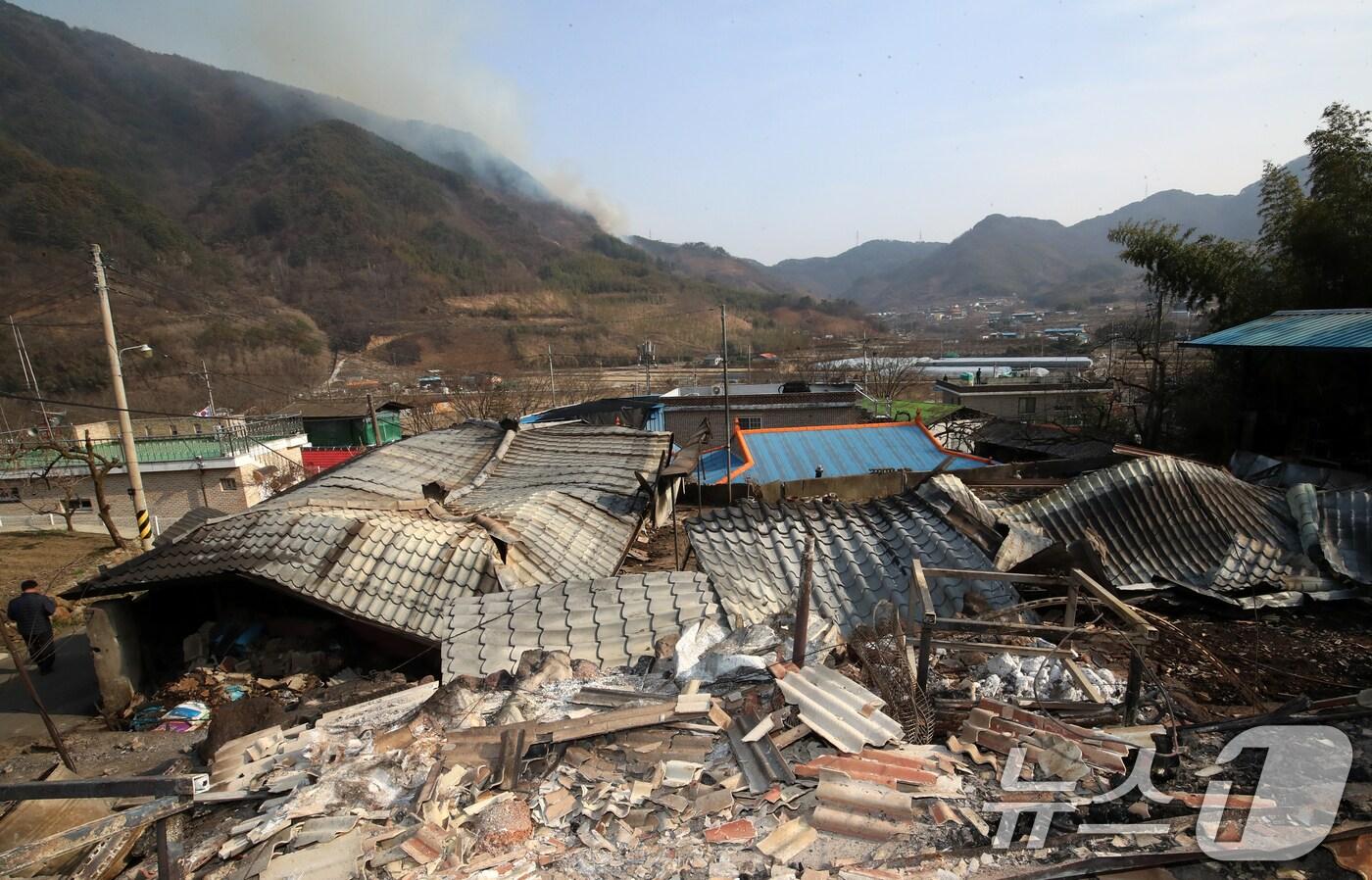 본문 이미지 - 산불로 피해를 입은 민가 자료사진./뉴스1 ⓒ News1 윤일지 기자