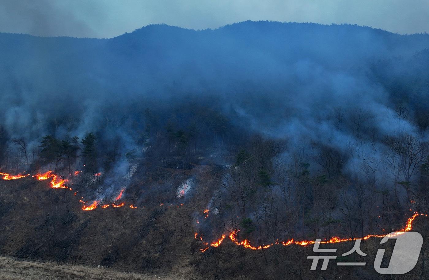 본문 이미지 - 23일 오후 어둠이 내린 경북 의성군 안평면 야산에 산불이 번지고 있다. 2025.3.23/뉴스1 ⓒ News1 공정식 기자