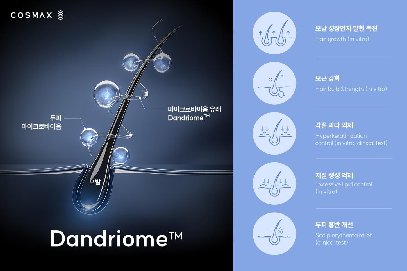코스맥스가 탈모 및 지루성 피부염을 동시에 개선할 수 있는 마이크로바이옴 기반 신규 소재를 개발했다.(코스맥스제공)