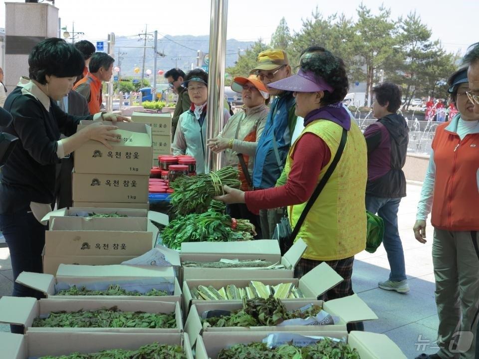 본문 이미지 - 지난해 옥천군 참옻순 판매 현장 (옥천군 제공. 재판매 및 DB금지) /뉴스1