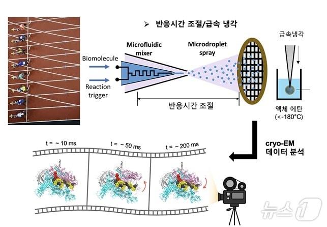 본문 이미지 - 패릴렌 기반 박막 미세유체 혼합-분사 장치 기술 개념도. (KAIST 제공. 재판매 및 DB금지) /뉴스1