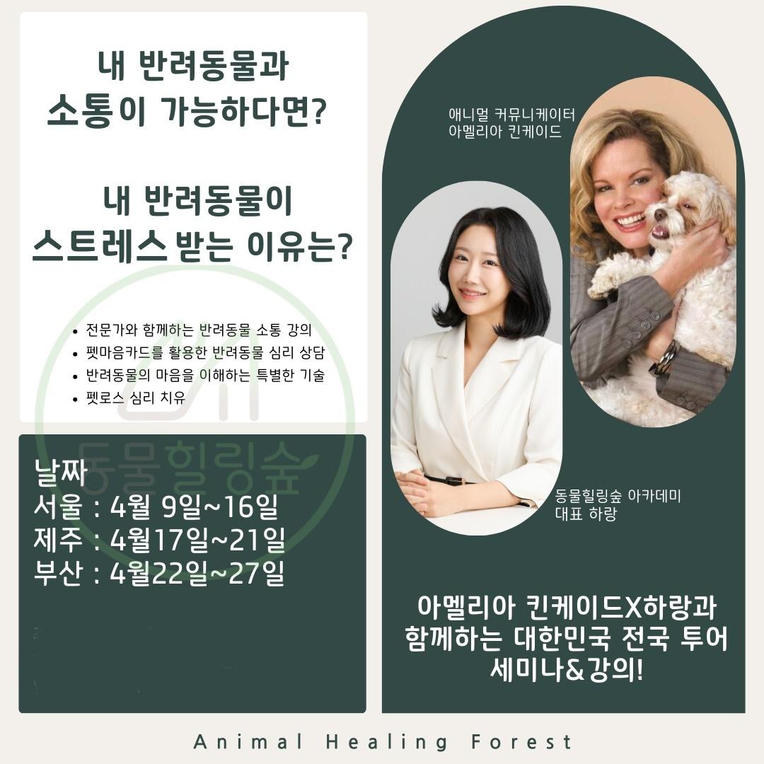 본문 이미지 - 동물힐링숲 아카데미는 오는 4월 세계적인 애니멀 커뮤니케이터 아멜리아 킨케이드의 첫 국내 방문을 기념해 협업을 진행한다. &#40;동물힐링숲 제공&#41;