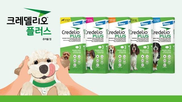 본문 이미지 - 사진=한국엘랑코동물약품 제공