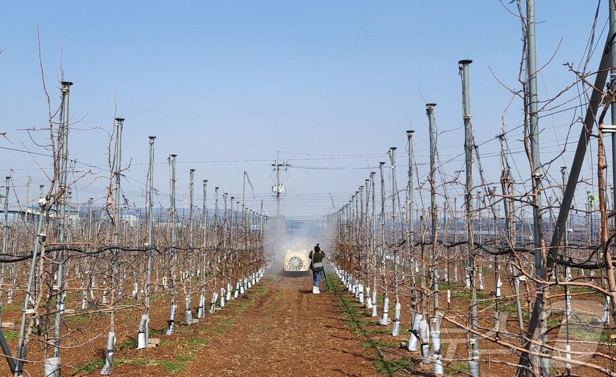 본문 이미지 - 단양군 방제 모습.(단양군 제공, 재판매 및 DB 금지)/뉴스1
