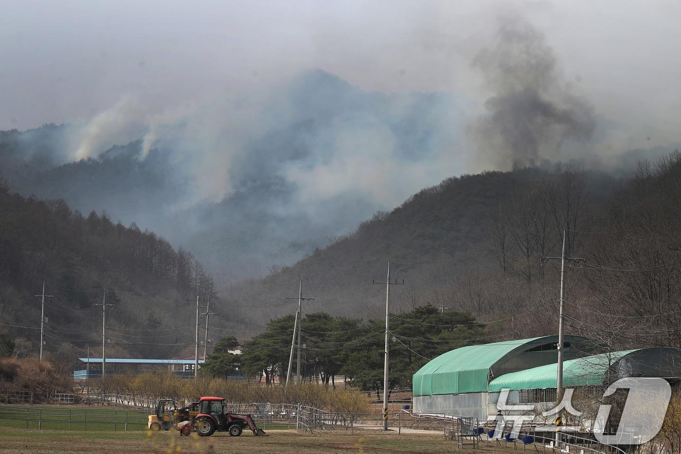 24일 오전 경북 의성군 안평면 금곡리에 있는 한 목장 뒷산에 산불이 번지고 있다. 2025.3.24/뉴스1 ⓒ News1 공정식 기자