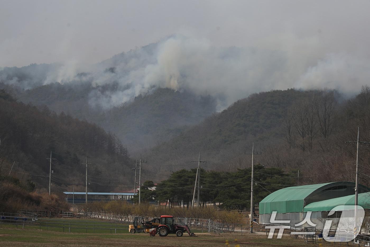 24일 오전 경북 의성군 안평면 금곡리에 있는 한 목장 뒷산에 산불이 번지고 있다. 2025.3.24/뉴스1 ⓒ News1 공정식 기자