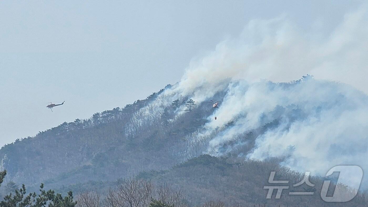 본문 이미지 - 사흘째 지속되는 울산 울주 산불이 진화율 70%를 넘기기 못하고 있는 가운데 24일 오후 강한 바람이 지속되고 있다.2025.3.24/뉴스1 ⓒ News1 김지혜 기자