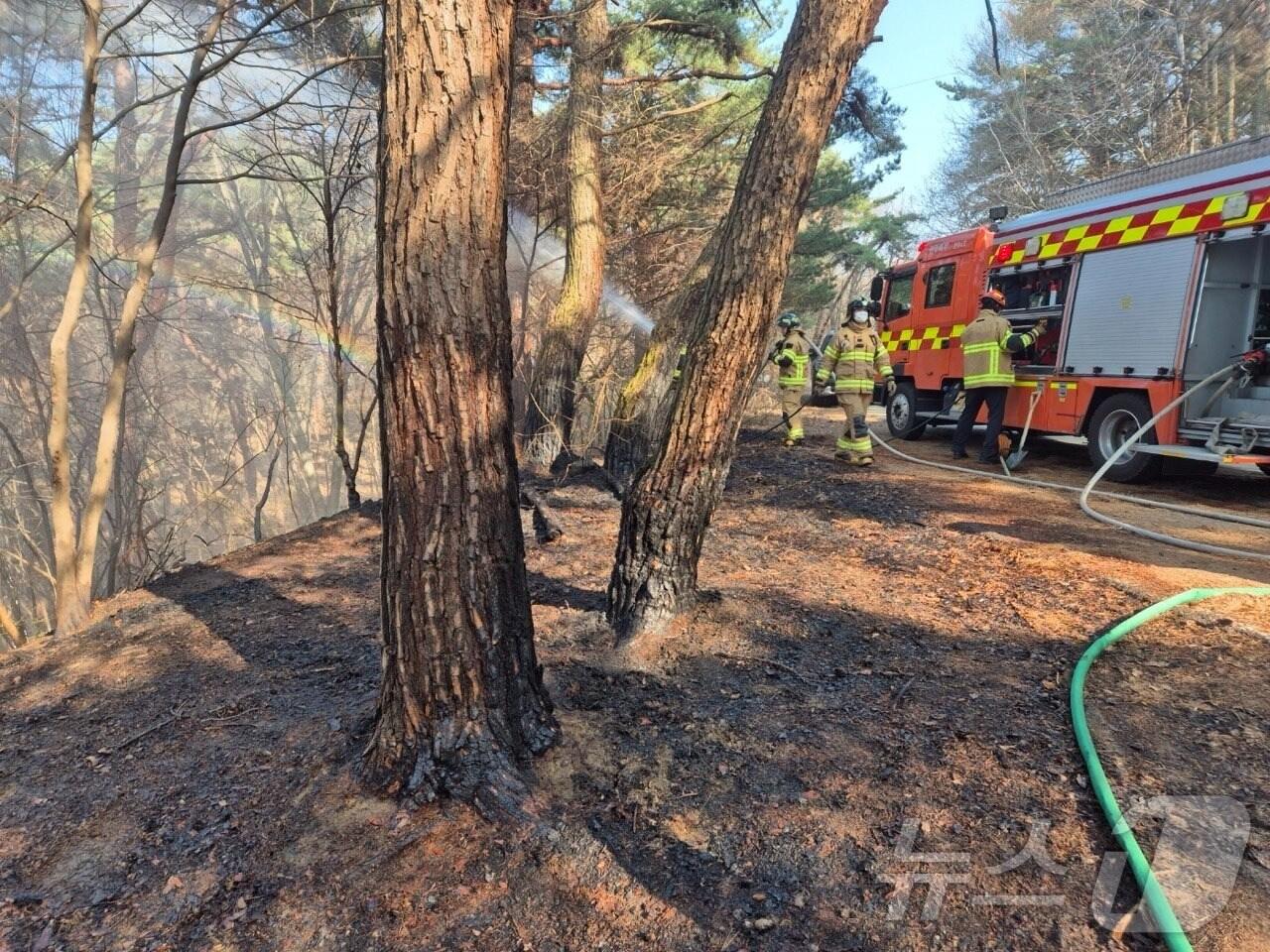 본문 이미지 - 지난 22일 오후 3시 19분쯤 광주 무등산 국립공원 금곡동 방면에서 불이 나 소방당국이 화재를 진화하고 있다.(광주 북부소방 제공. 재판매 및 DB 금지)