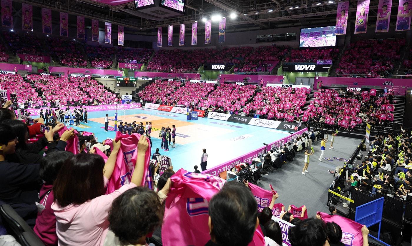 본문 이미지 - 여자 프로배구 흥국생명이 챔피언결정전을 맞이해 '철쭉페스타'를 개최한다. (흥국생명 제공)