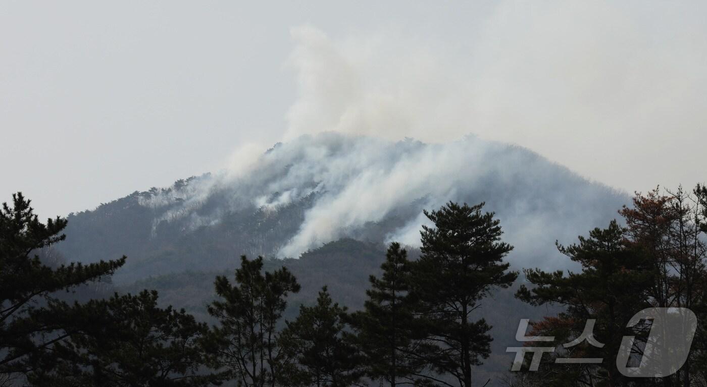 지난 22일 발생한 울산 울주 온양읍 대형산불.2025.3.24/뉴스1 ⓒ News1 김지혜 기자