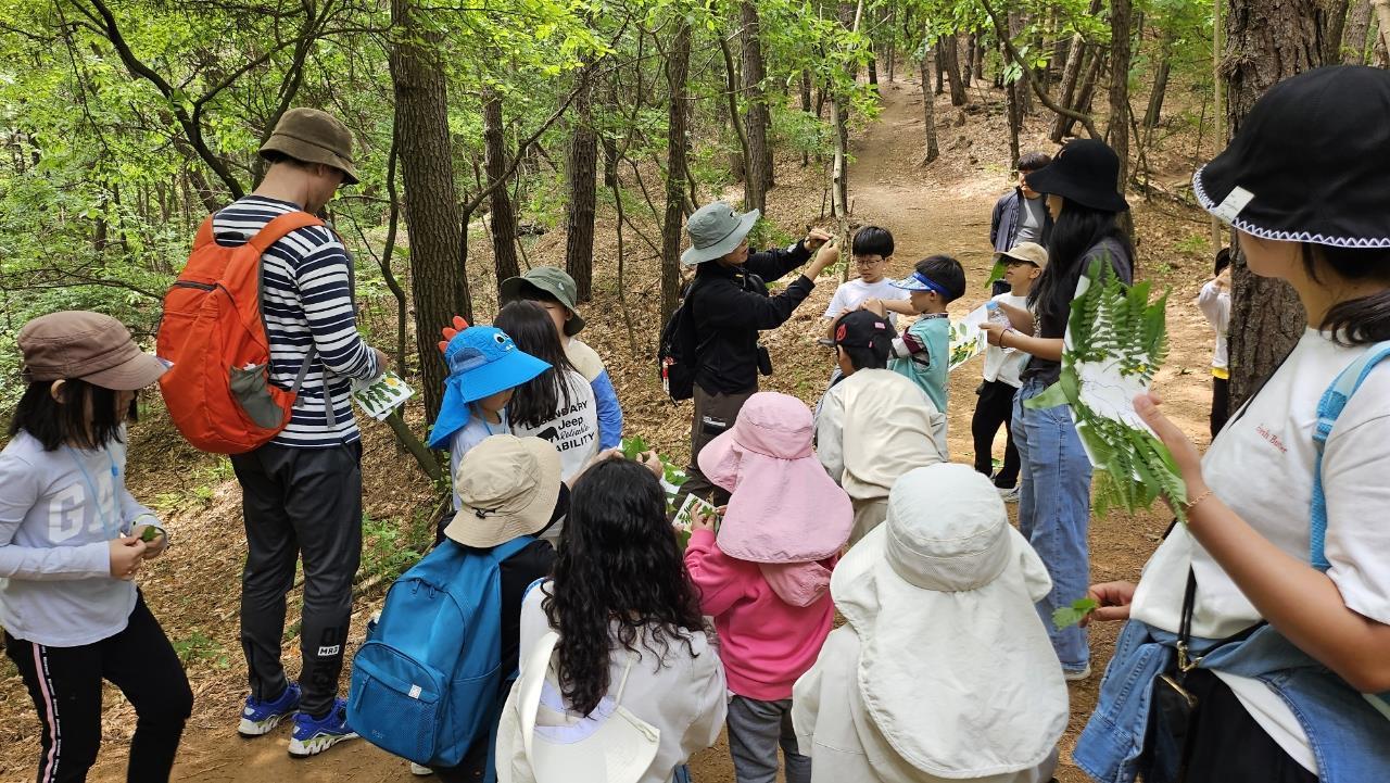 본문 이미지 -  마을교사제 운영. (세종교육청 제공. 재판매 및 DB금지)