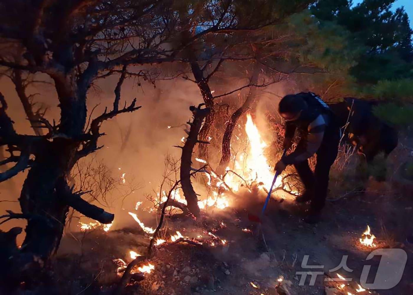 본문 이미지 - 자료사진/뉴스1