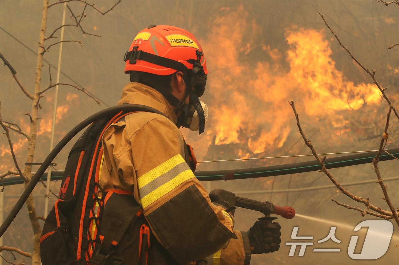 본문 이미지 - 24일 경북 의성군 점곡면 윤암리 한 야산 아래 민가에서 강풍을 타고 산불이 번지자 현장에 출동한 경상북도 119산불특수대응단이 진화하고 있다. 2025.3.24 ⓒ 뉴스1 공정식 기자