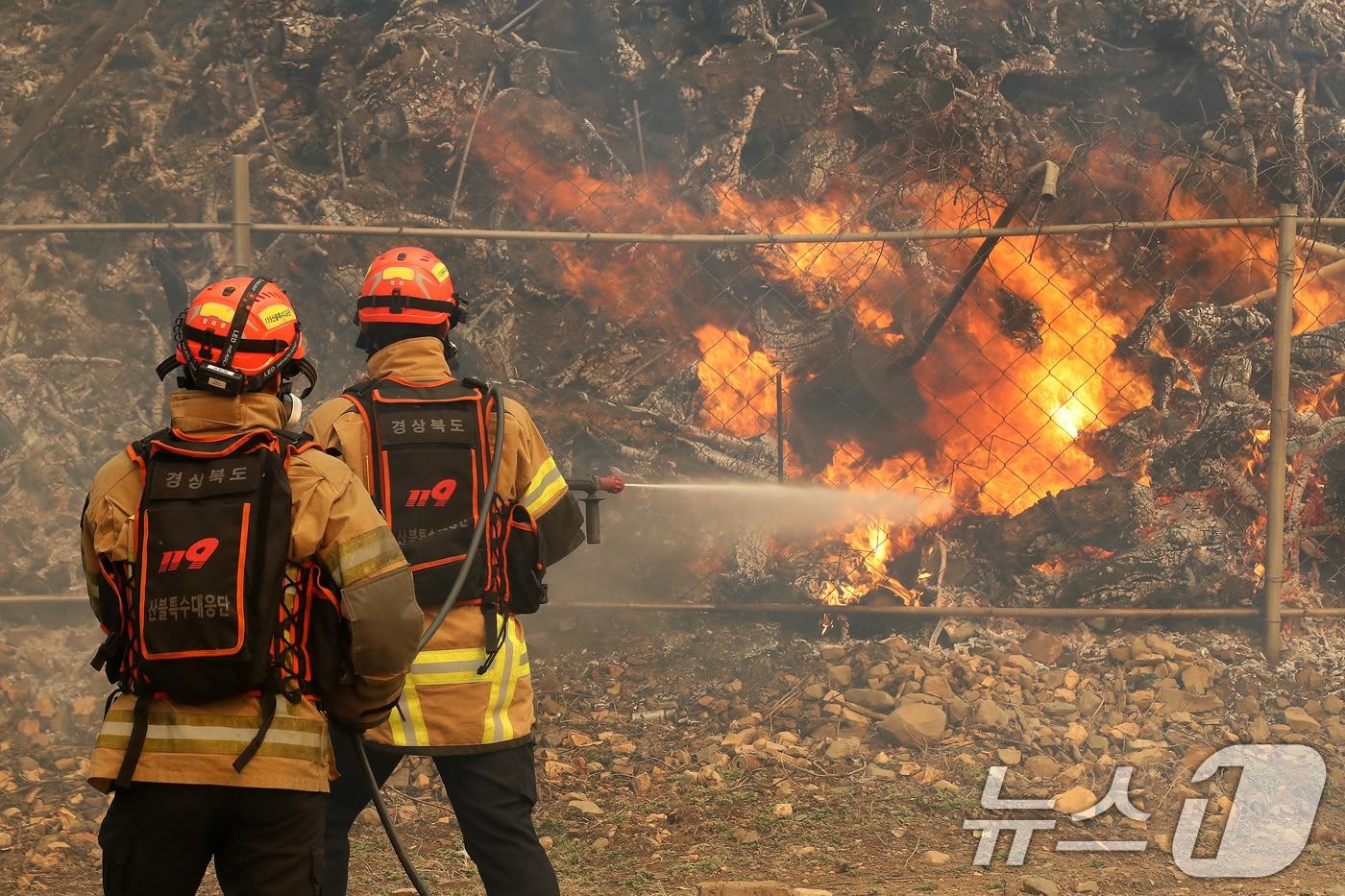 24일 경북 의성군 점곡면 윤암리 한 야산 아래 민가에서 강풍을 타고 산불이 번지자 현장에 출동한 경상북도 119산불특수대응단이 진화하고 있다. 2025.3.24/뉴스1 ⓒ News1 공정식 기자