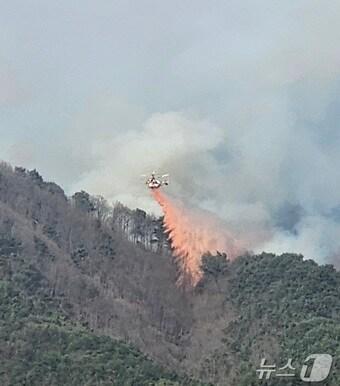 본문 이미지 - 산불 진화 헬기가 24일 산청 시천면 산불 확산을 막기 위해 산불 지연제를 살포하고 있다. 2025.3.24 2025.3.24/뉴스1 ⓒ News1 한송학 기자