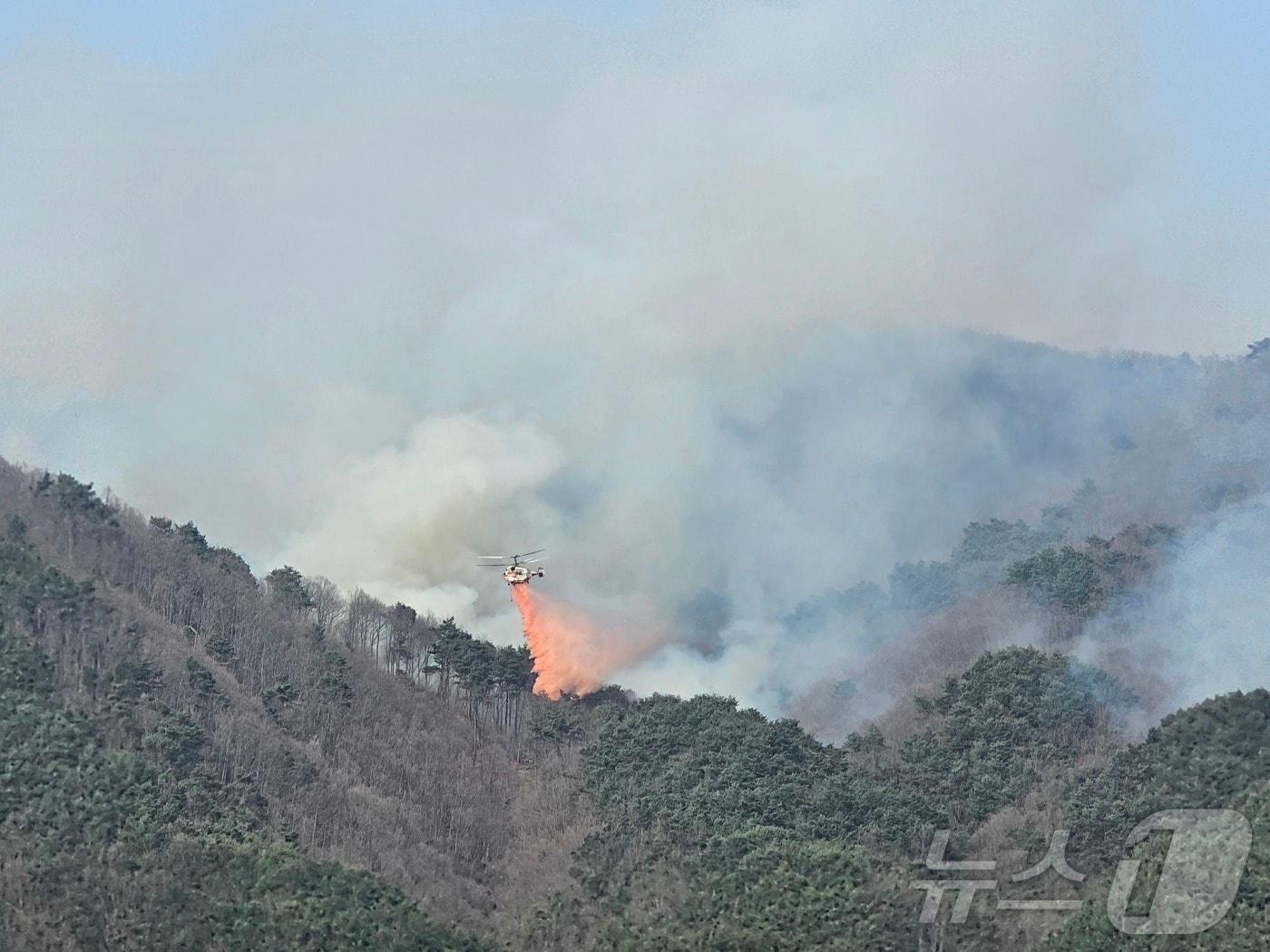 본문 이미지 - 산불 진화 헬기가 24일 산청 시천면 산불 확산을 막기 위해 산불 지연제를 살포하고 있다. 2025.3.24 2025.3.24/뉴스1 ⓒ News1 한송학 기자