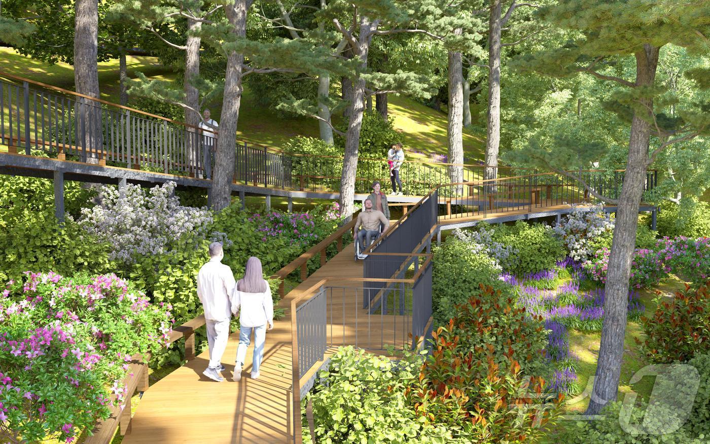 본문 이미지 - 남산 하늘숲길_무장애숲길.(서울시 제공) 