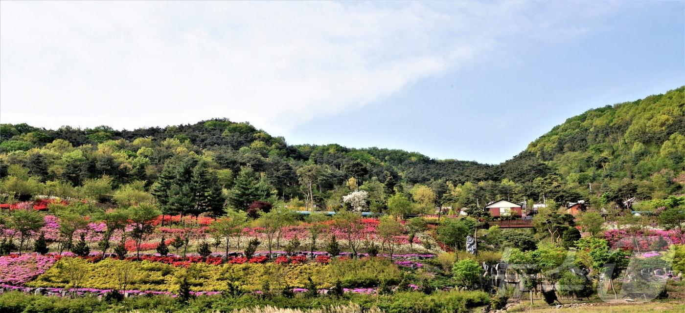 청양 고운식물원 모습. (청양군 제공. 재판매 및 DB금지) /뉴스1