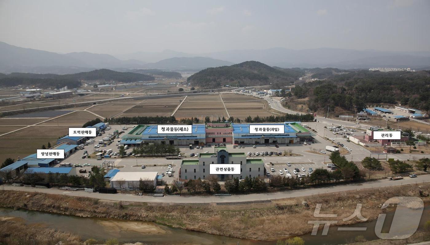 본문 이미지 - 강원 강릉시는 행정안전부 주관 ‘대규모 판매시설 주소 세분화 사업’ 공모 최종 선정.(강릉시 제공, 재판매 및 DB 금지) 2025.3.25/뉴스1