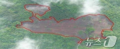 본문 이미지 - 불법 산림 훼손 예시. 무단으로 나무를 벌채해 숲 일부가 구멍난 것처럼 파헤쳐 있다. &#40;제주자치경찰단 제공. 재판매 및 DB 금지&#41;