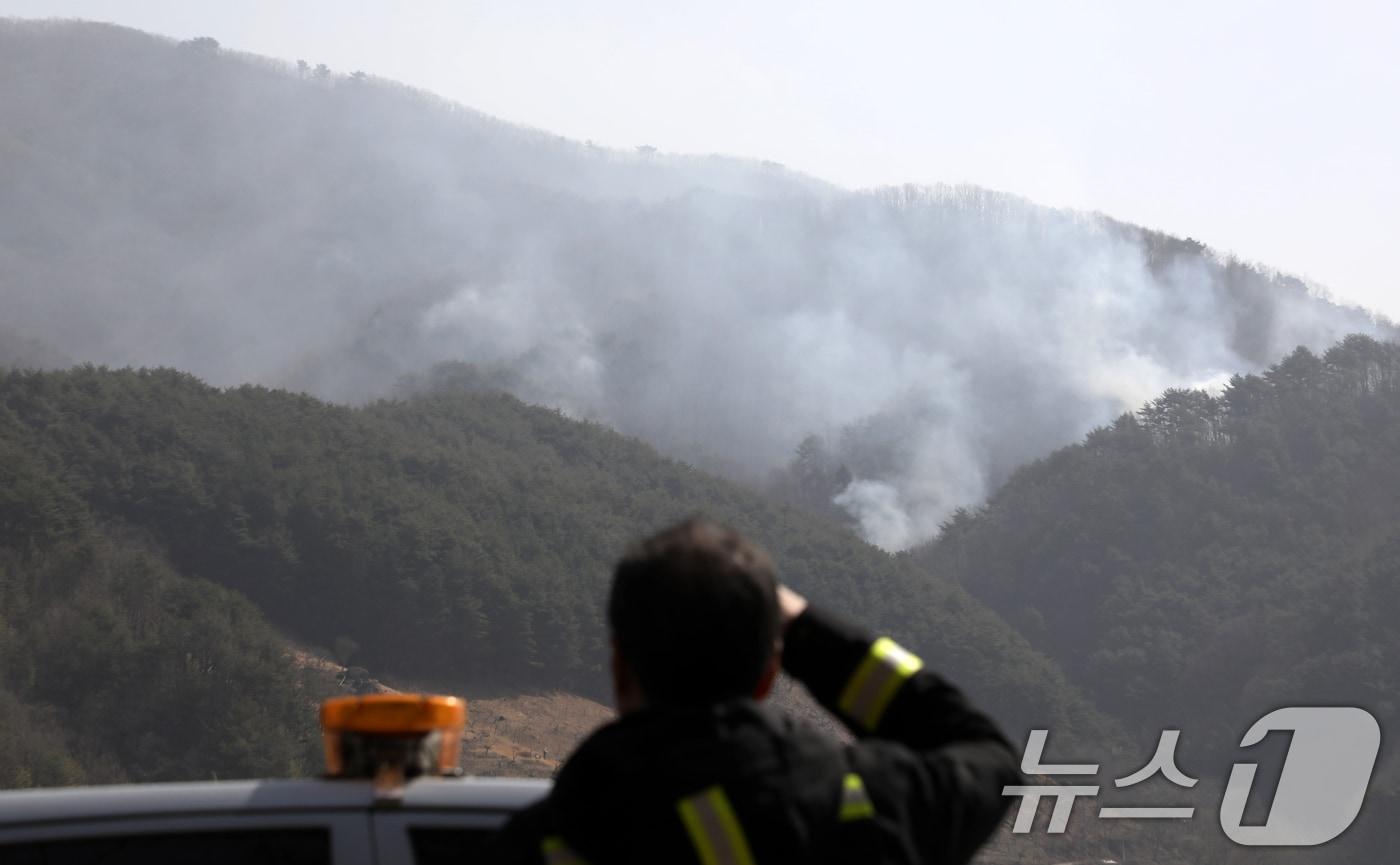 경남 산청 대형 산불 닷새째인 25일 지리산과 인접한 산청군 시천면 구곡산 일대에 산불이 번져 지리산국립공원공단 관계자가 산불을 지켜보고 있다. 2025.3.25/뉴스1 ⓒ News1 윤일지 기자