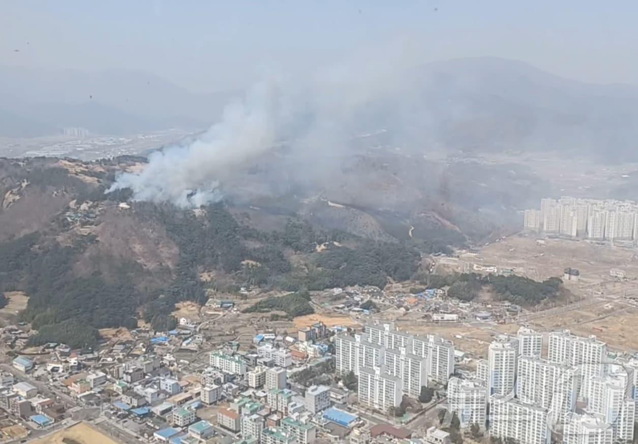 본문 이미지 - 25일 오전 11시 54분께 울산시 울주군 언양읍 송대리 화장산에서 불이 나 산림당국이 진화 작업을 하고 있다. (울산소방본부 제공. 재판매 및 DB 금지) /뉴스1