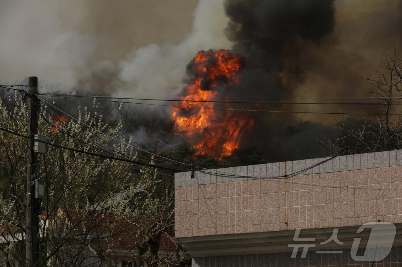 본문 이미지 - 25일 오전 11시 54분께 울산시 울주군 언양읍 송대리 화장산에서 불이 나 산림당국이 진화 작업을 하고 있다. 2025.3.25/뉴스1 ⓒ News1 김지혜 기자