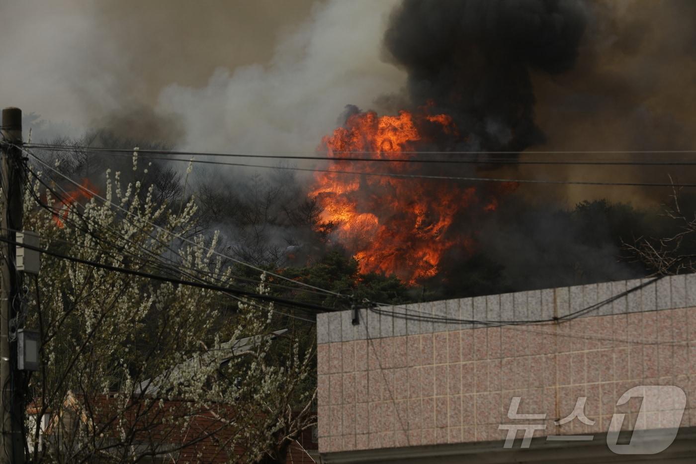 지난 3월 울산시 울주군 언양읍 송대리 화장산에서 불이 나 검은 연기가 피어오르고 있다. 2025.3.25/뉴스1 ⓒ News1 DB