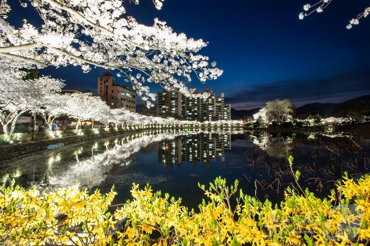 김천 연화지 (김천시 제공. 재판매 및 DB금지) /뉴스1