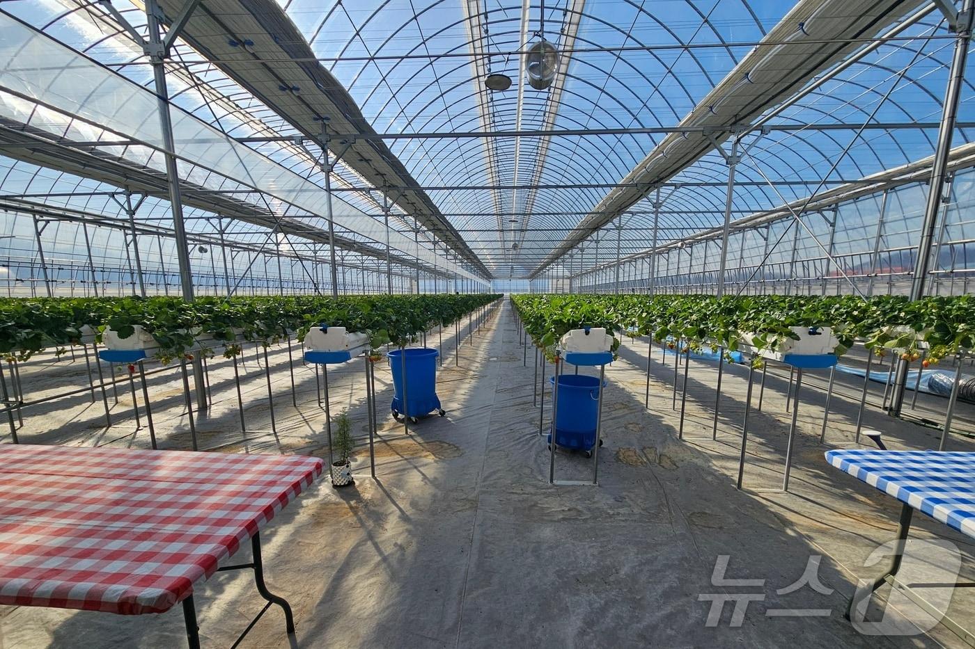  25일 충북 충주시가 일반 비닐하우스 농가에 스마트팜 장비를 보급한다고 밝혔다.(충주시 제공. 재판매 및 DB금지)/뉴스1