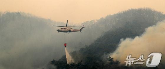본문 이미지 - 의성 산불 나흘째인 25일 오전 경북 안동시 길안면 백자리 민가 뒷산에서 헬기가 강풍을 뚫고 물을 뿌리고 있다. (안동=뉴스1) 공정식 기자