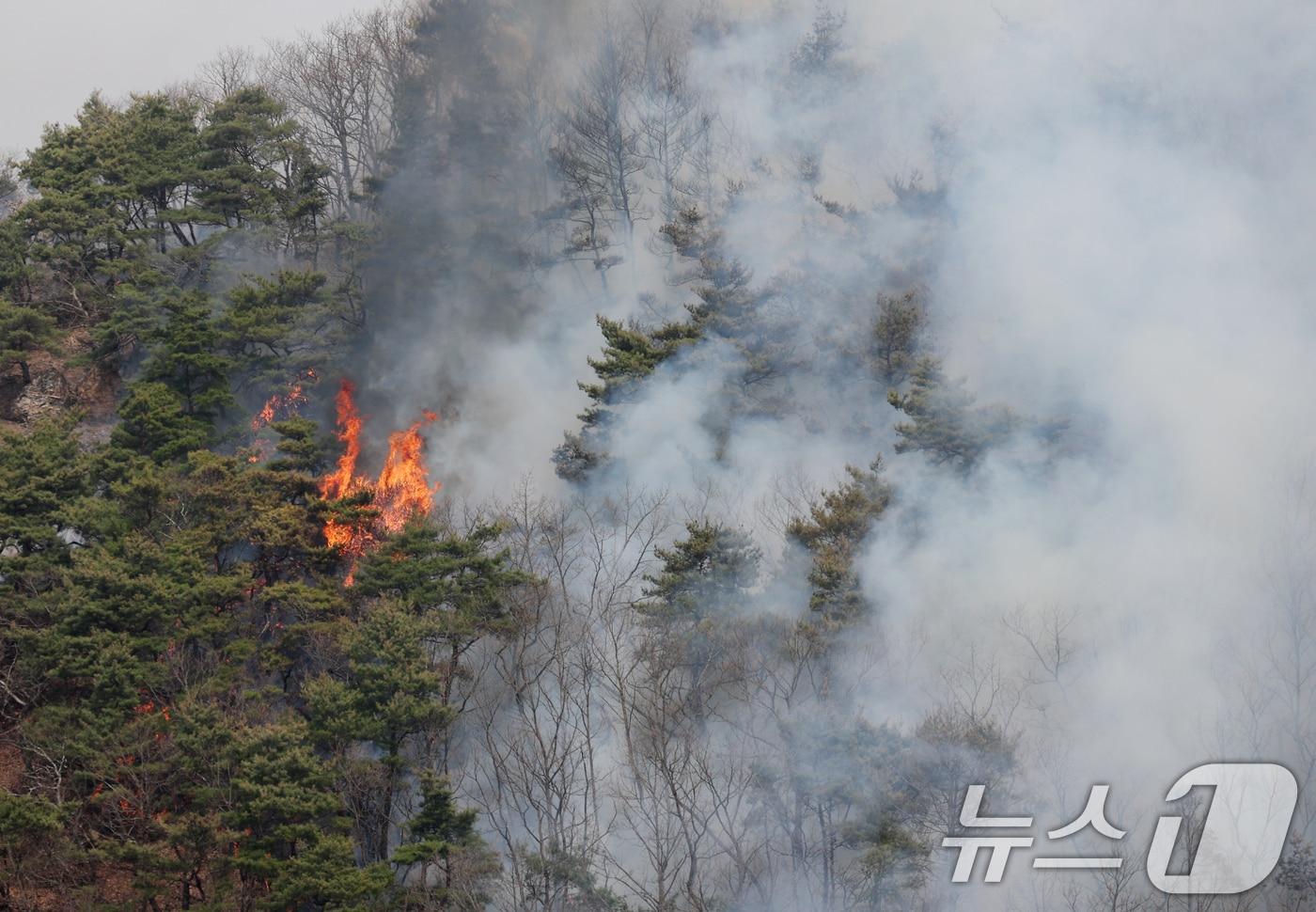 경북 의성군 산불이 나흘째 이어지고 있는 25일 오후 경북 의성군 옥산면 전흥리 일대 야산에 산불이 지속되고 있다. 2025.3.25/뉴스1 ⓒ News1 김영운 기자