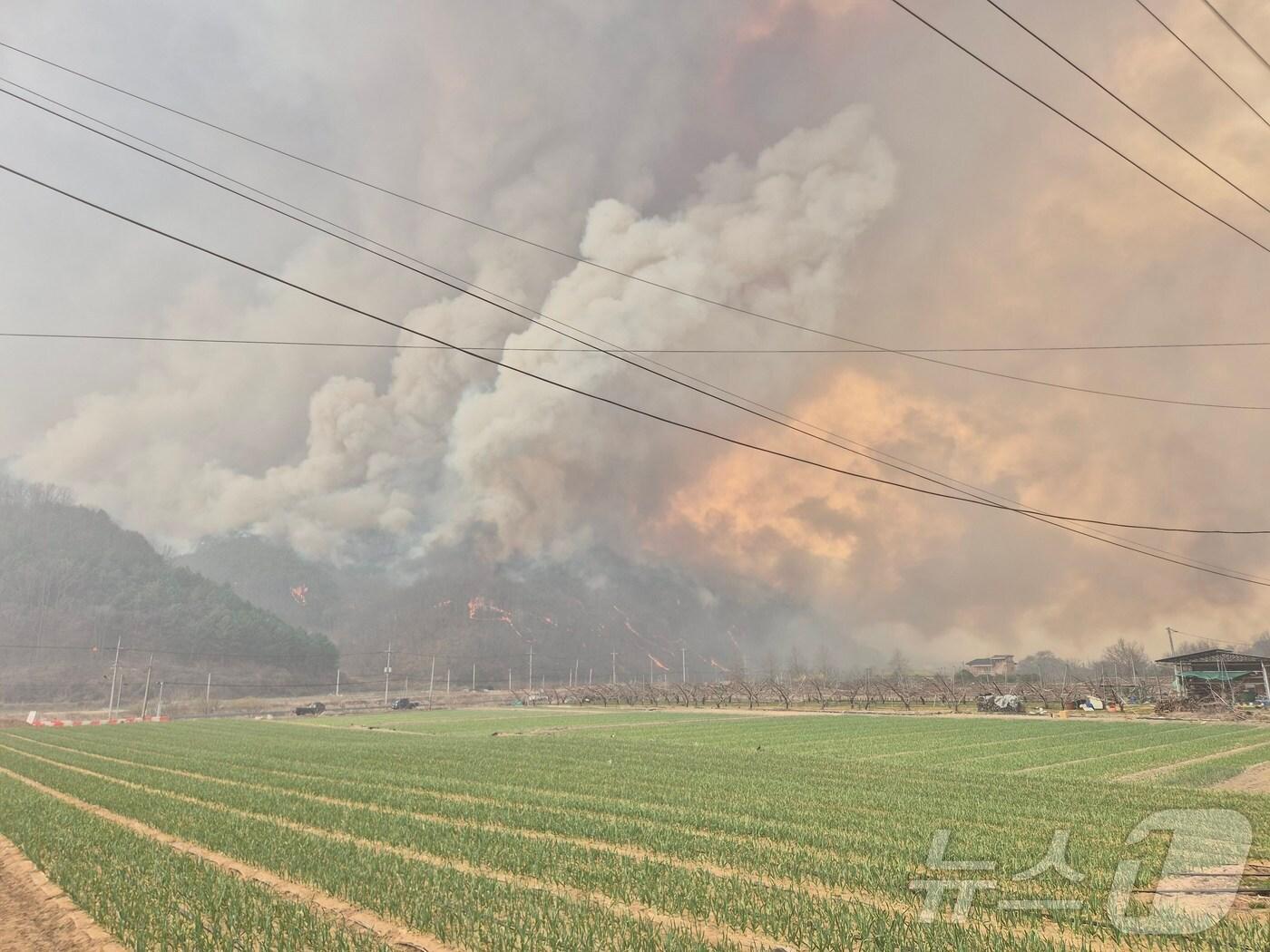 본문 이미지 - 안동시 풍천면과 맞닿아있는 의성군 신평면 야산의 산불이 확산하고 있다.2025.3.25/뉴스1 김영운 기자