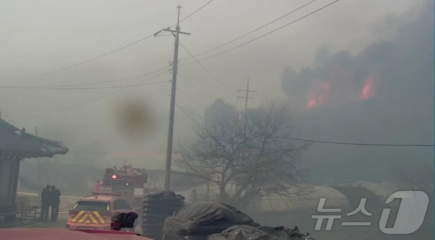 본문 이미지 - 25일 오후 2시 15분께 전북자치도 고창군 성내면 한 야산에서 불이 났다.(전북소방 제공.재판매 및 DB금지) 