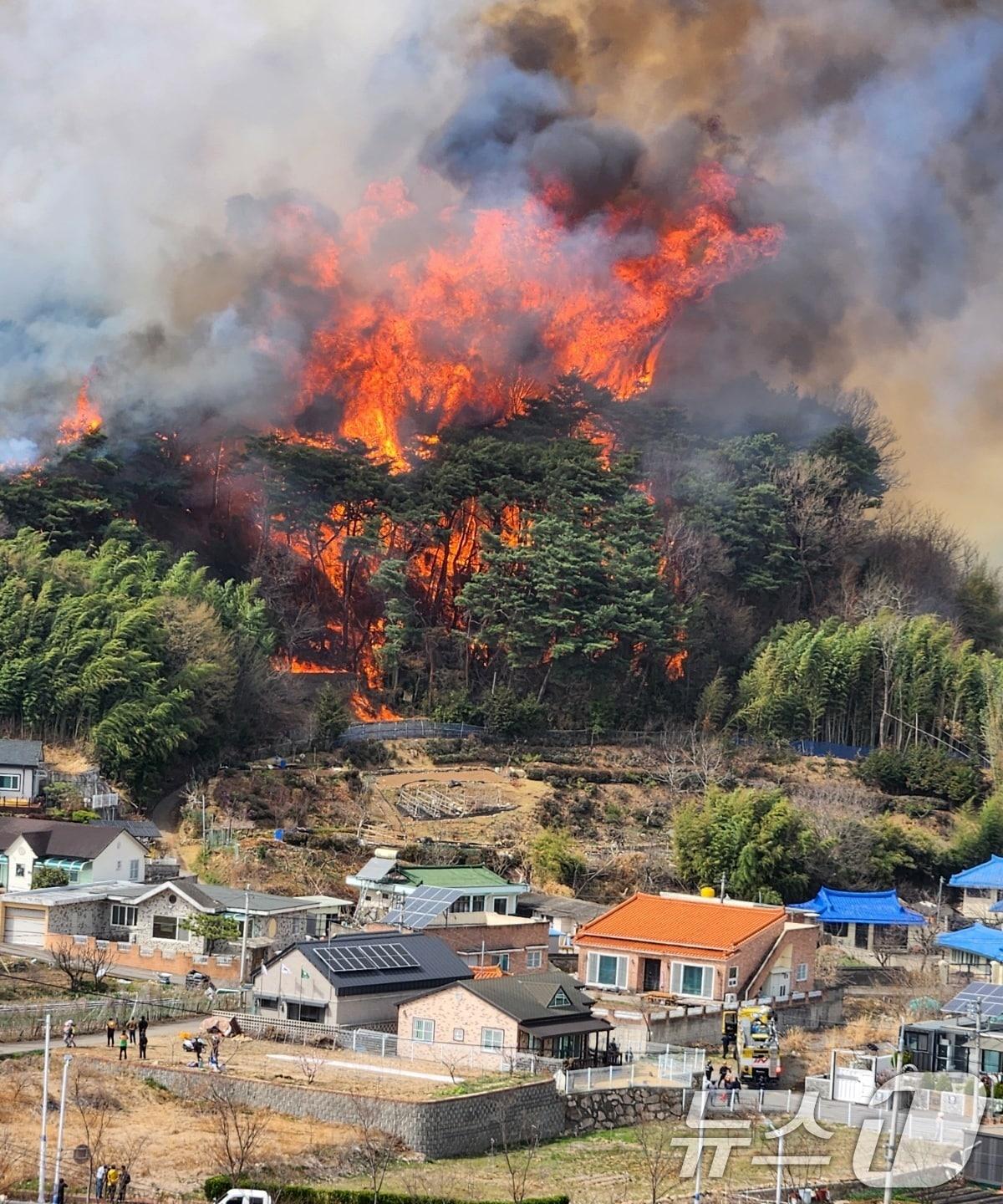 본문 이미지 - 25일 울산 울주군 언양읍 화장산에서 불이 나 불길이 민가까지 접근하고 있다. (독자 제공. 재판매 및 DB 금지) 2025.3.25/뉴스1 ⓒ News1