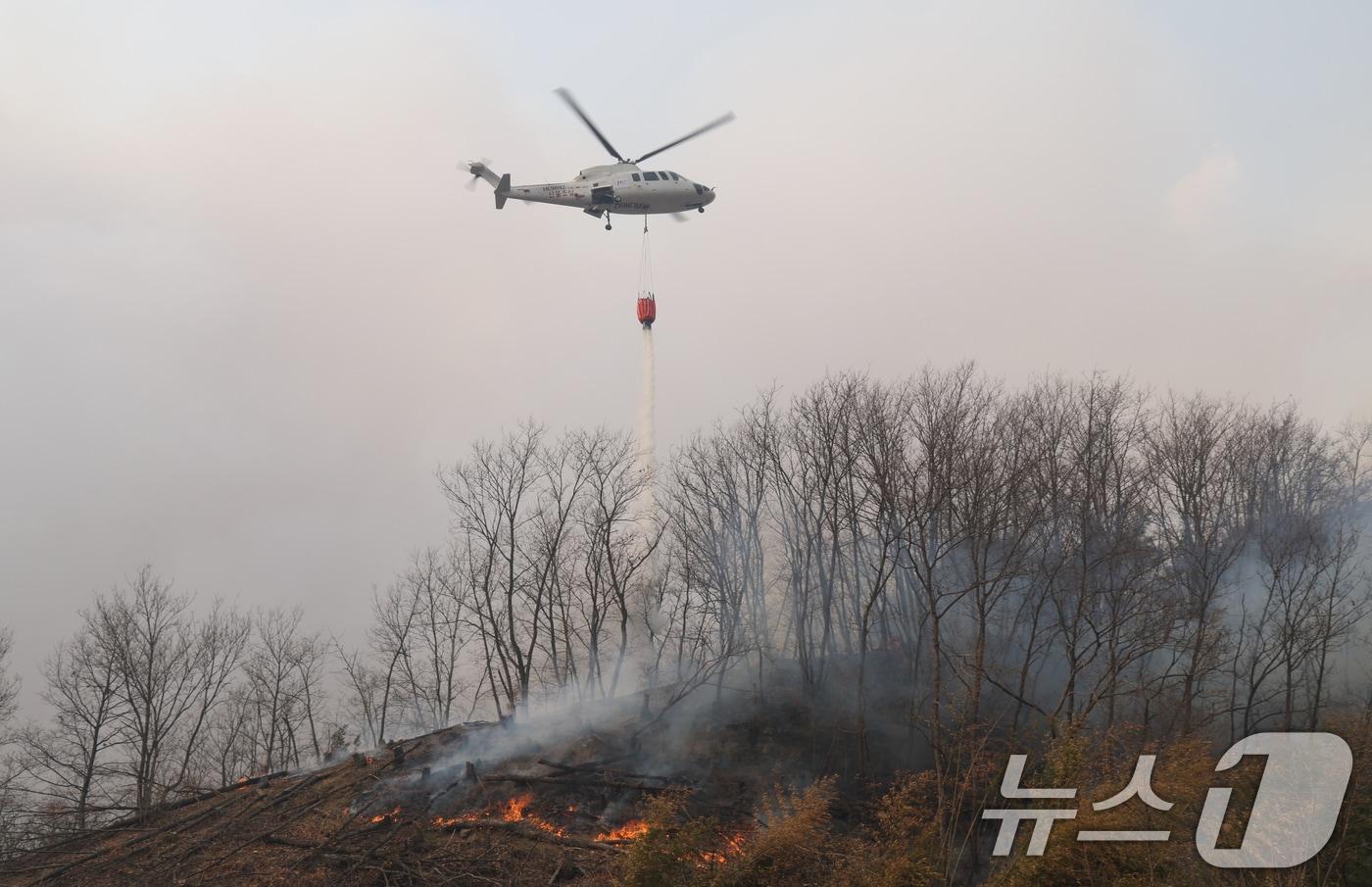 본문 이미지 - 산에서 소방헬기가 진화 작업을 하고 있다. /뉴스1 ⓒ News1 김영운 기자 (사진은 기사와 직접 관련 없음)
