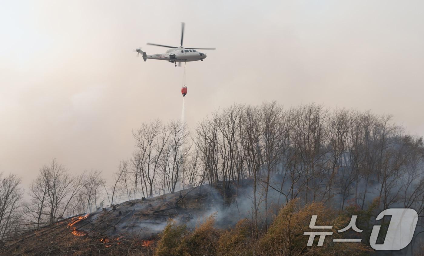 해당 기사와 관련 없음 &#40;뉴스1 사진 자료&#41;. 2025.3.25/뉴스1 ⓒ News1 