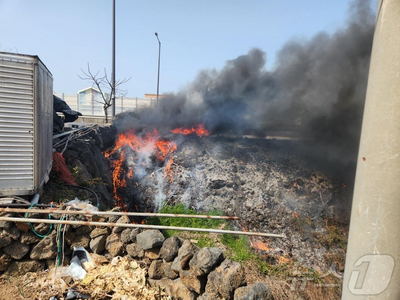 본문 이미지 - 25일 오후 2시17분쯤 제주시 구좌읍 동복리 유명 카페 주차장 인근 야초지에서 화재가 나 소방당국이 진화에 나서고 있다.(제주도소방안전본부 제공. 재판매 및 DB 금지)