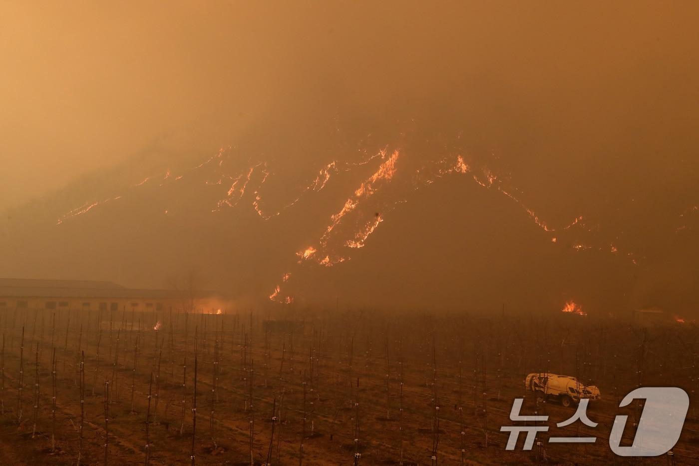 본문 이미지 - 의성 산불 나흘째인 25일 오후 경북 안동시 길안면 일대에 강풍이 불어 산불이 확산하며 낮과 밤이 구분되지 않을 정도로 어두워져 있다. 2025.3.25/뉴스1 ⓒ News1 공정식 기자