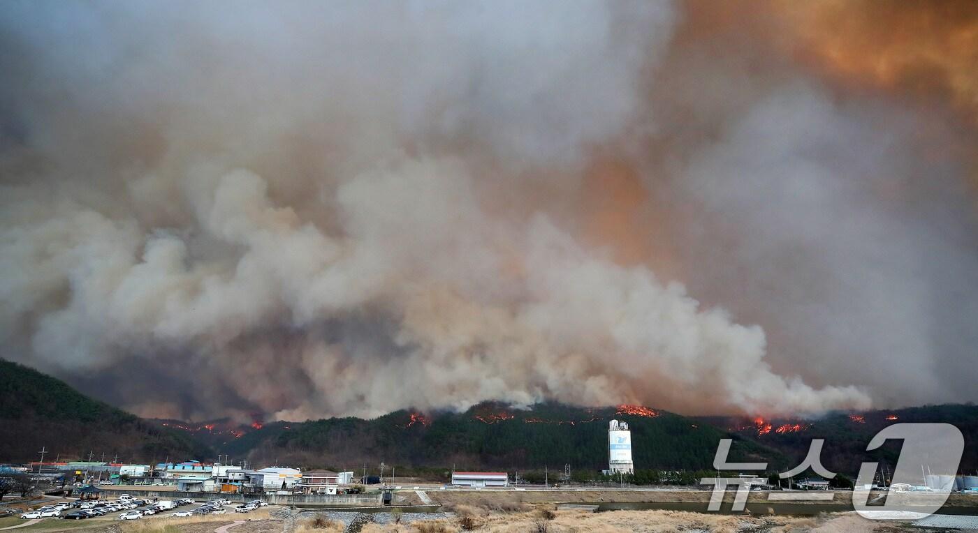 25일 오후 경북 안동 전역에 강풍이 불어 산불이 급속도로 확산하고 있다. 2025.3.25/뉴스1 ⓒ News1 공정식 기자