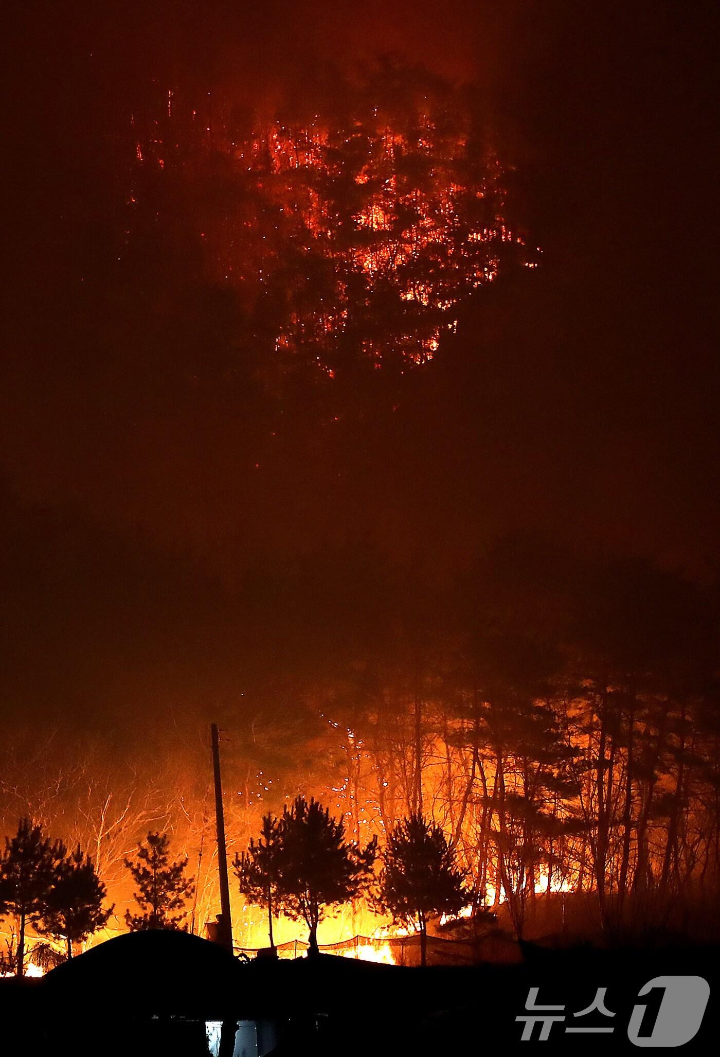 본문 이미지 - 25일 오후 어둠이 내린 경북 안동시 남후면 광음리 뒷산에 민가를 삼키려는 화마처럼 산불이 확산하고 있다. 2025.3.25/뉴스1 ⓒ News1 공정식 기자